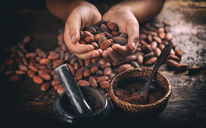 Cacao Ceremony